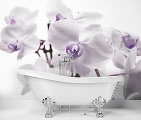 Gario Fotótapéta Virágzó orchidea Anyag: Vlies, Méret: 100 x 70 cm