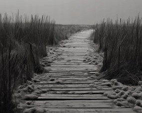 Poszter 76x60,5cm A csend ösvénye Dűnék