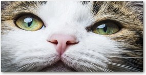 Fotó-üvegkép Zöld macskaszemek 140x70