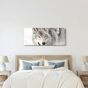 Kép - Farkas a természetben (120x50 cm)