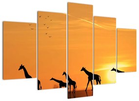 Modern kép - zsiráfok (150x105cm)