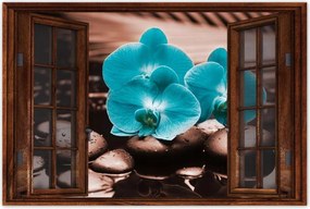 Poszter 60x40 Türkiz orchidea