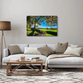 Kép - mező, kilátás (90x60 cm)