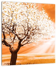 Narancssárga fa képe (30x30 cm)