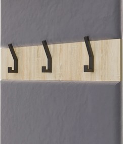 HAGA III 2SZ1W előszobafal 150x35x238 cm, sonoma
