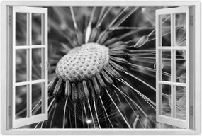 Poszterek 120x80 Pitypang Virág Virágok