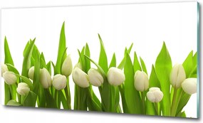 Fotó vászonkép edzett üveg Orchidea 100x70