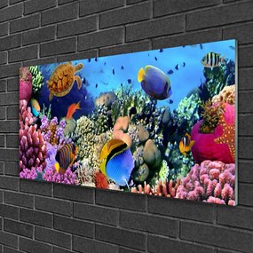 Akrilkép Barrier Reef Nature 120x60 cm