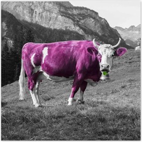 Poszterek 30x30 Lila tehén Emilka