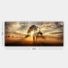 Vászonkép, 30×80 cm – TR483TNS1830