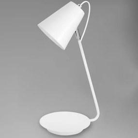 Asztali lámpa TABLE LAMPS 1xE27/60W/230V