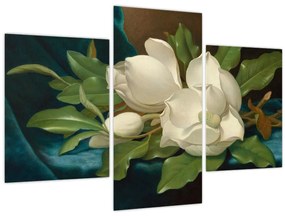 Kép - Martin Johnson Heade, Giant Magnolias on a Blue Velvet Cloth, reprodukciók (90x60 cm)