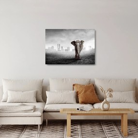 Kép -Elefánt egy nagyvárosban, fekete-fehér változat (üvegen) (70x50 cm)