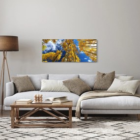 Kép - Aspen (120x50 cm)
