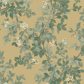 Holden Decor Imaginarium 3 Orange Tree okkersárga gyümölcsös papír tapéta – 14241