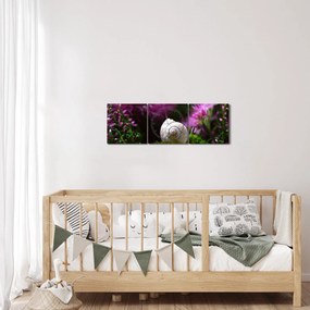 Kép - Csigaház (órával) (90x30 cm)