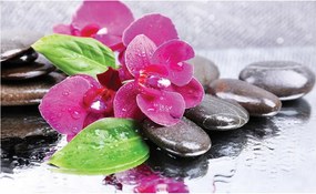 Fotótapéta Orchideák kövek harmat harmónia relaxáció spa 208x146 +ragasztó