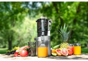 Concept LO7120 - Lassú facsaró JUICY 250W/230V szürke