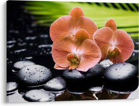 Kép - Narancssárga orchidea pálmalevelekkel (70x50 cm)