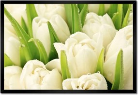 Poszterek keretben 60x40 Finom tulipánok