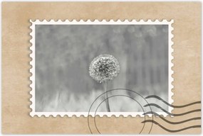 Poszterek 90x60 Pitypang