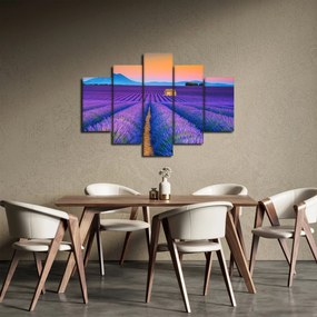 Kép - Levendula mező (150x105 cm)