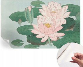 Öntapadós Dekoratív Fotótapéta Hálószobába Vízi lótusz 416x254 cm
