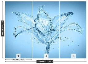 Fotótapéta víz virág 104x70 cm