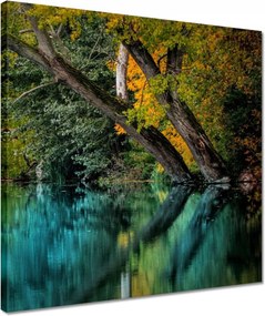 Vászonkép 40x40 Őszi táj Folyó