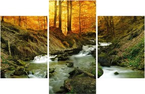 Kép - Erdő (90x60 cm)