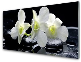 Akrilüveg fotó Rózsaszín orchidea virág 100x50 cm 4 fogas