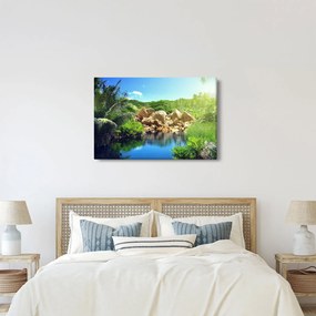 A tó képe a Seychelle-szigetek dzsungelében (90x60 cm)