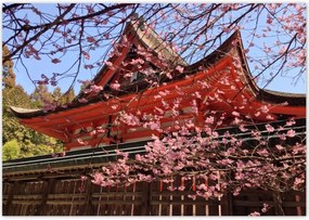 Poszterek 100x70 Japán templom