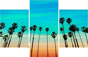 Kép - Kalifornia (90x60 cm)