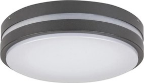 Rabalux 8847 - LED Kültéri fali lámpa HAMBURG LED/10W/230V IP44
