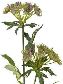 Műnövény (magasság 49 cm) Throatwort – Bloomingville