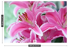 Fotótapéta rózsaszín liliom 104x70 cm