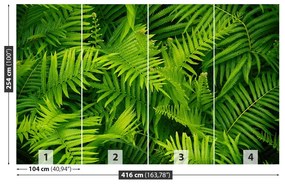 Fotótapéta páfrány zöld 104x70 cm