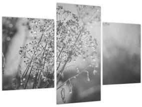 Kép - Mező az eső után (90x60 cm)