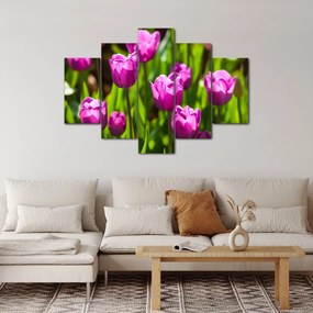 Tulipánok a réten képe (150x105 cm)