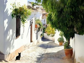 Vászonkép Canvas Tájkép Város Dél Utca Fekete Macska 100x75