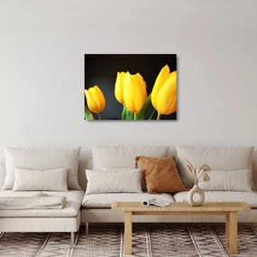 Tulipán képe (üvegen) (70x50 cm)