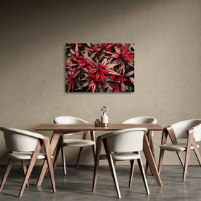 Piros szirmok képe (üvegen) (70x50 cm)