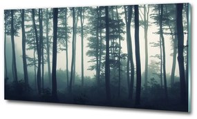 Üvegfotó Forest a ködben osh-106280644