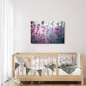 Kép - Levendula (90x60 cm)