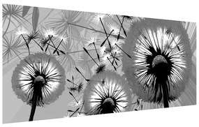 Fekete fehér kép -pitypang (120x50 cm)