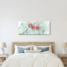 Fagyasztott csipkebogyó képe (120x50 cm)