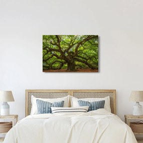 Kép - Zöld fa (90x60 cm)
