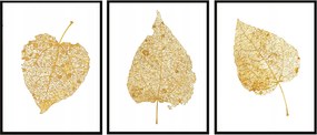 Vászonkép Poszter Keretben 33x43cm Triptichon Levelek P1886