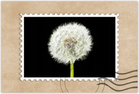 Poszterek 120x80 Pitypang virág rét